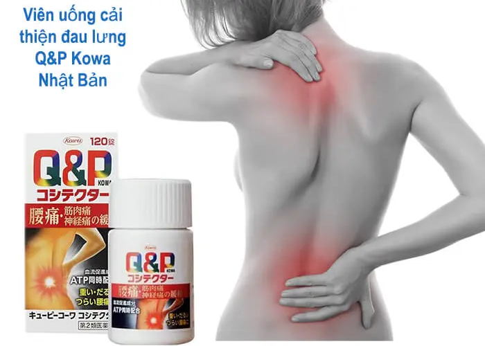 Viên uống hỗ trợ giảm đau lưng xương khớp Kowa Q&P 120 viên - Hàng Nhật nội địa