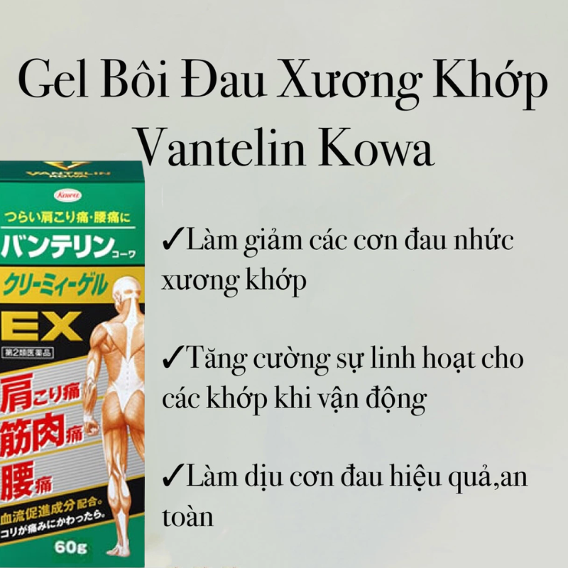 Dầu xoa bóp giảm đau xương khớp Banterin Kowa EX 60g - Hàng Nhật nội địa