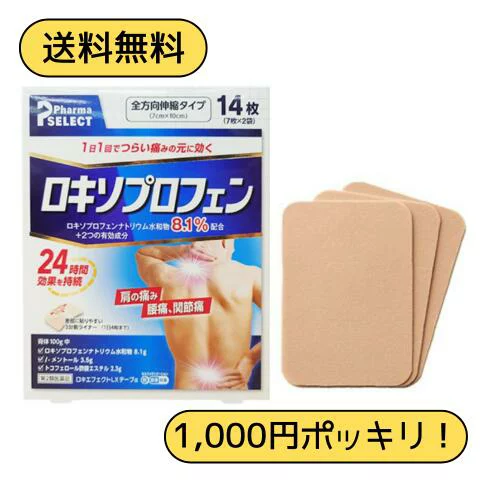Hộp 50 miếng dán hỗ trợ giảm đau Oishi Kosei Vα ( 7x10cm) - Hàng Nhật nội địa