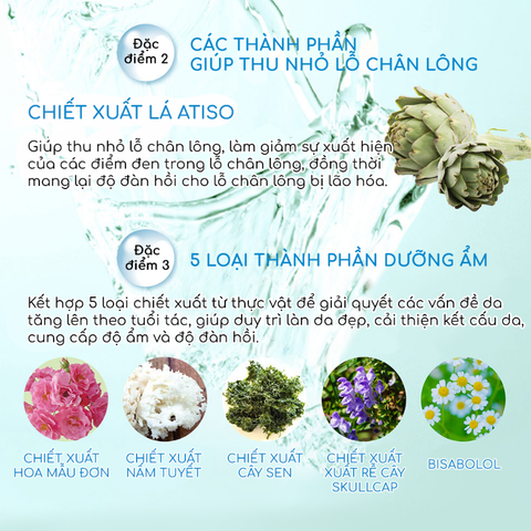 SERUM DƯỠNG ẨM DA, SE KHÍT LỖ CHÂN LÔNG HANAJIRUSHI BOOSTER CONDITIONER  48ML- Hàng Nhật nội địa