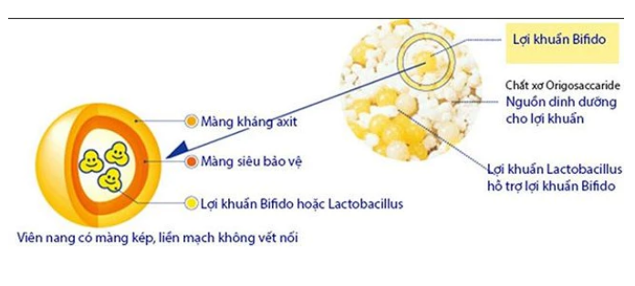 Bột men vi sinh sống HealthAid Bifina EX cao cấp (hộp 60 gói) - Hàng Nhật nội địa