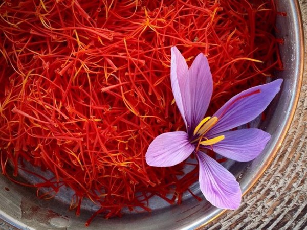 Nhuỵ Hoa Nghệ Tây SAFFRON S&B 0,4gr - Hàng Nhật nội địa