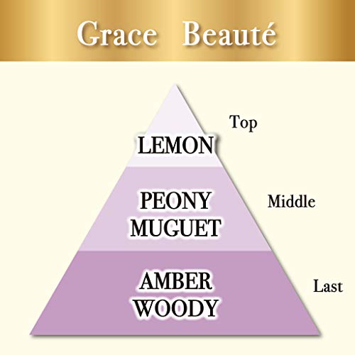 Hộp thơm phòng nước hoa cao cấp Premium Aroma Grace Beauté 400ml - Hàng Nhật nội địa