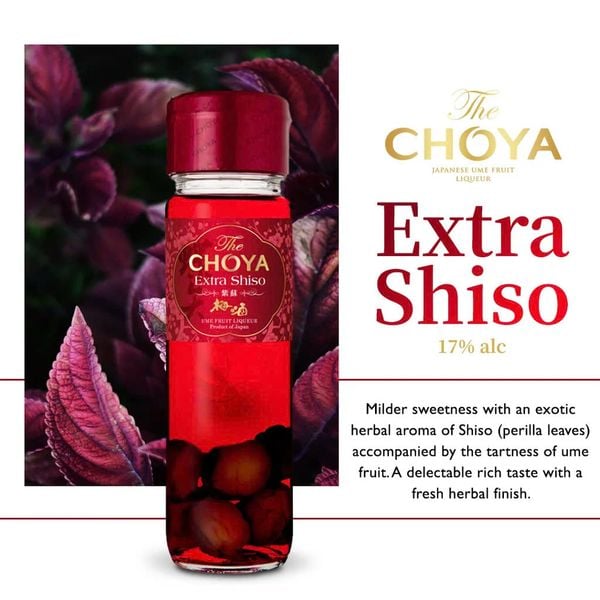Rượu mơ Choya Extra Shiso 17% chai 700ml - Hàng Nhật nội địa