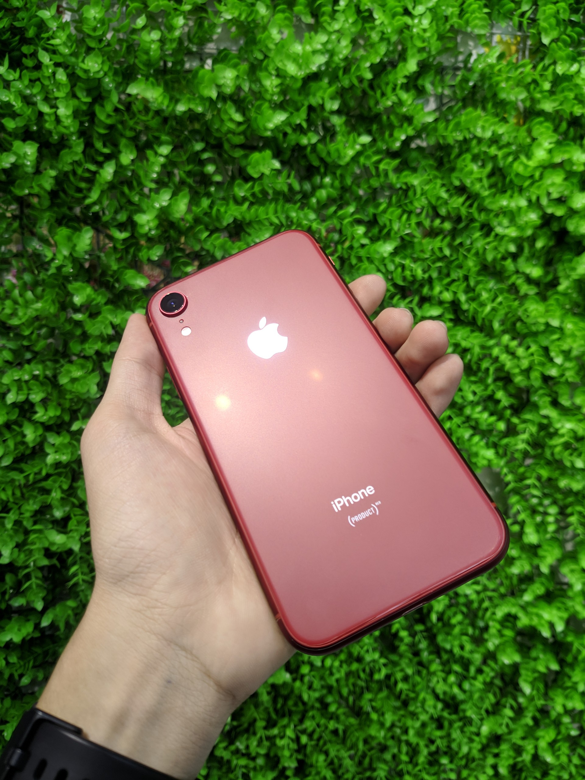 Miếng dán Skin PPF iPhone XR bề mặt Nhám chống vân tay cực tốt (Tặng 1 Miếng Dự Phòng)