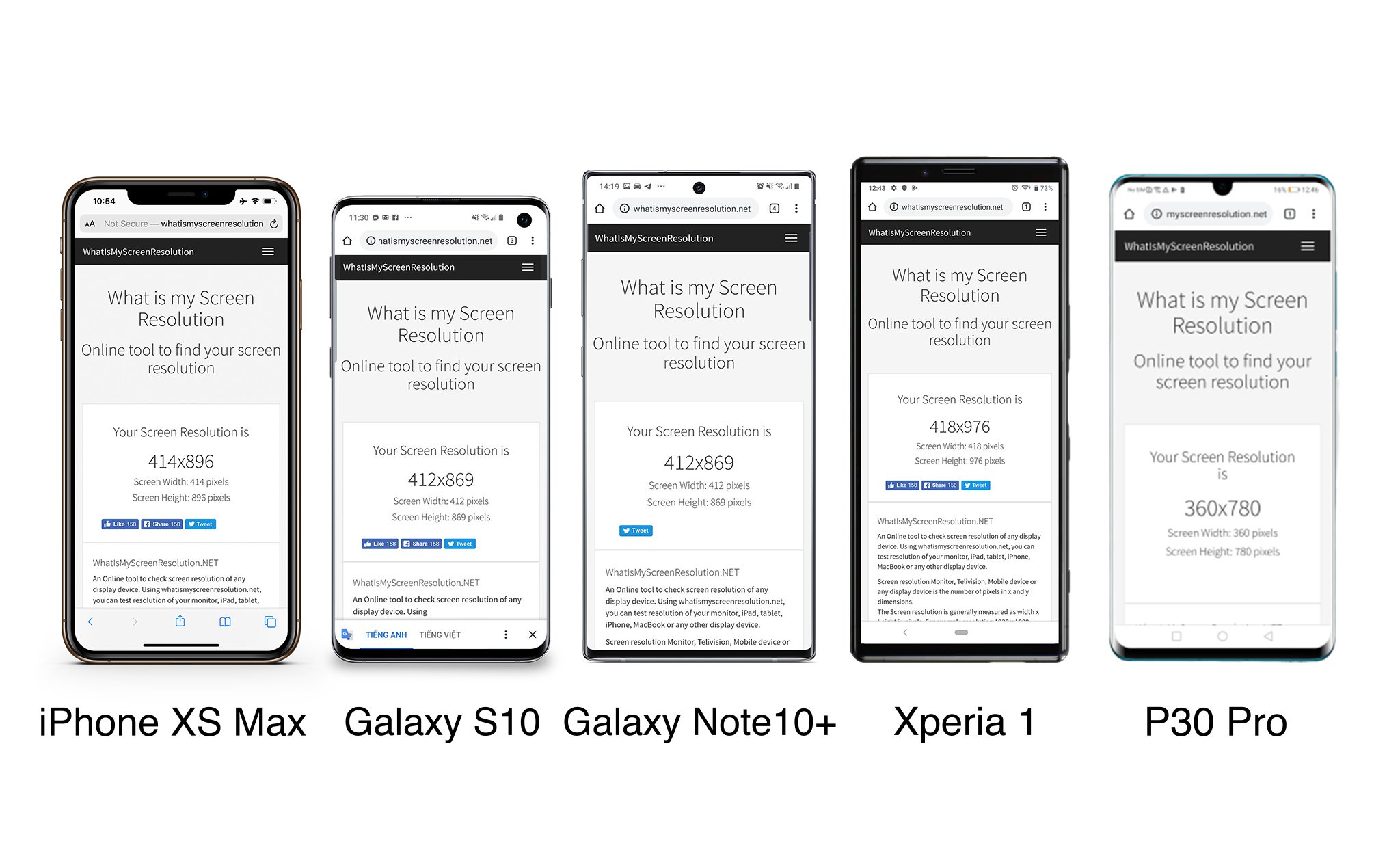 So sánh khả năng hiển thị màn hình iPhone XS Max, Samsung Galaxy S10, Note10+, Xperia 1 và P30 Pro