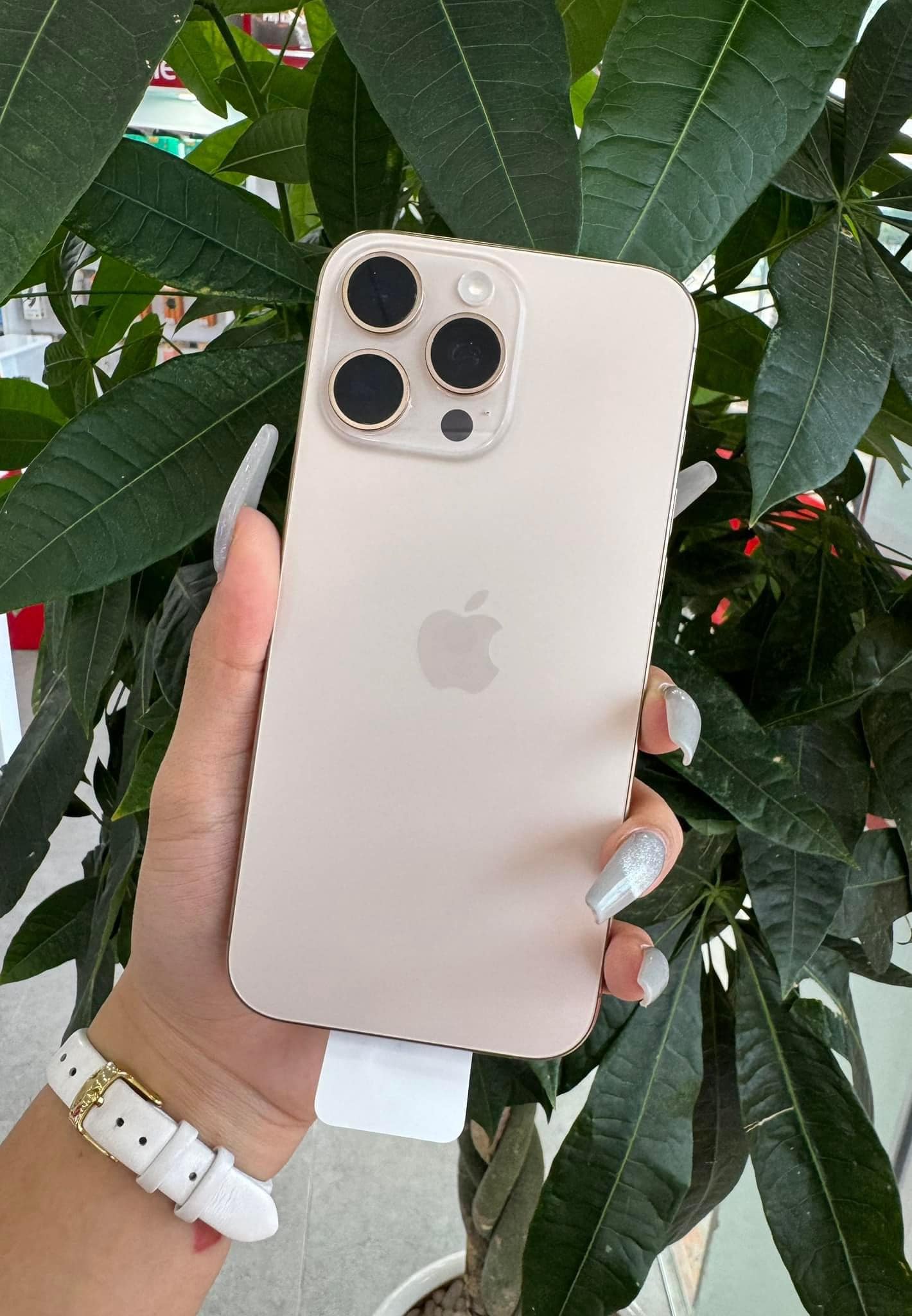 Thời điểm này có đáng mua iPhone 16 Pro Max không?