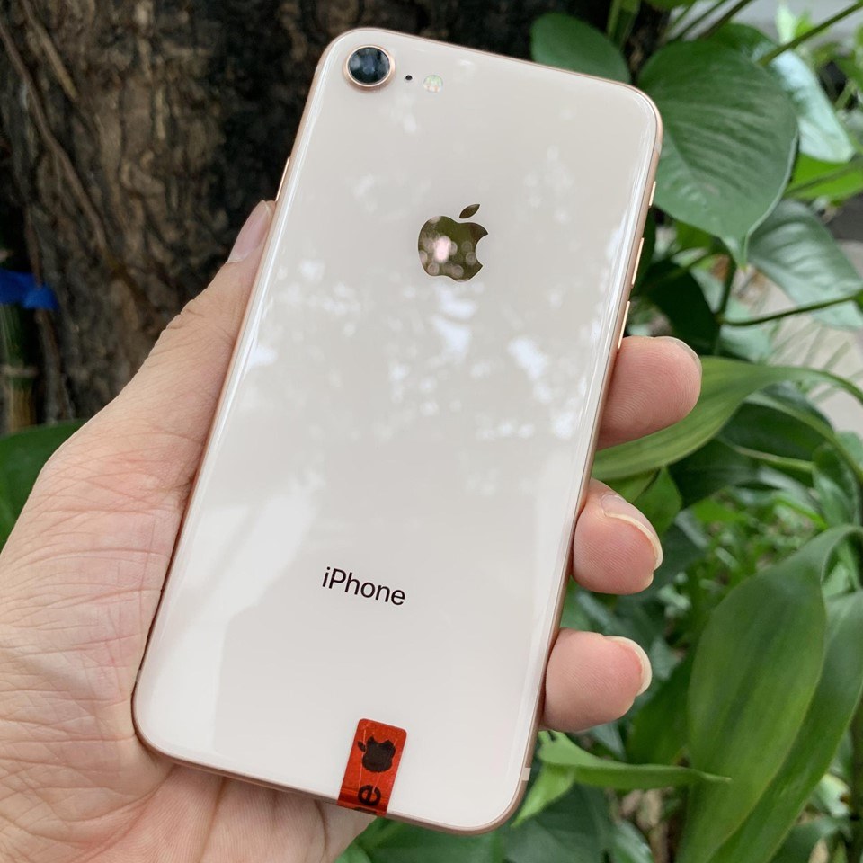 iphone-se-2-gia-hon-9-trieu-da-chuan-bi-trinh-lang-va-day-la-bang-chung