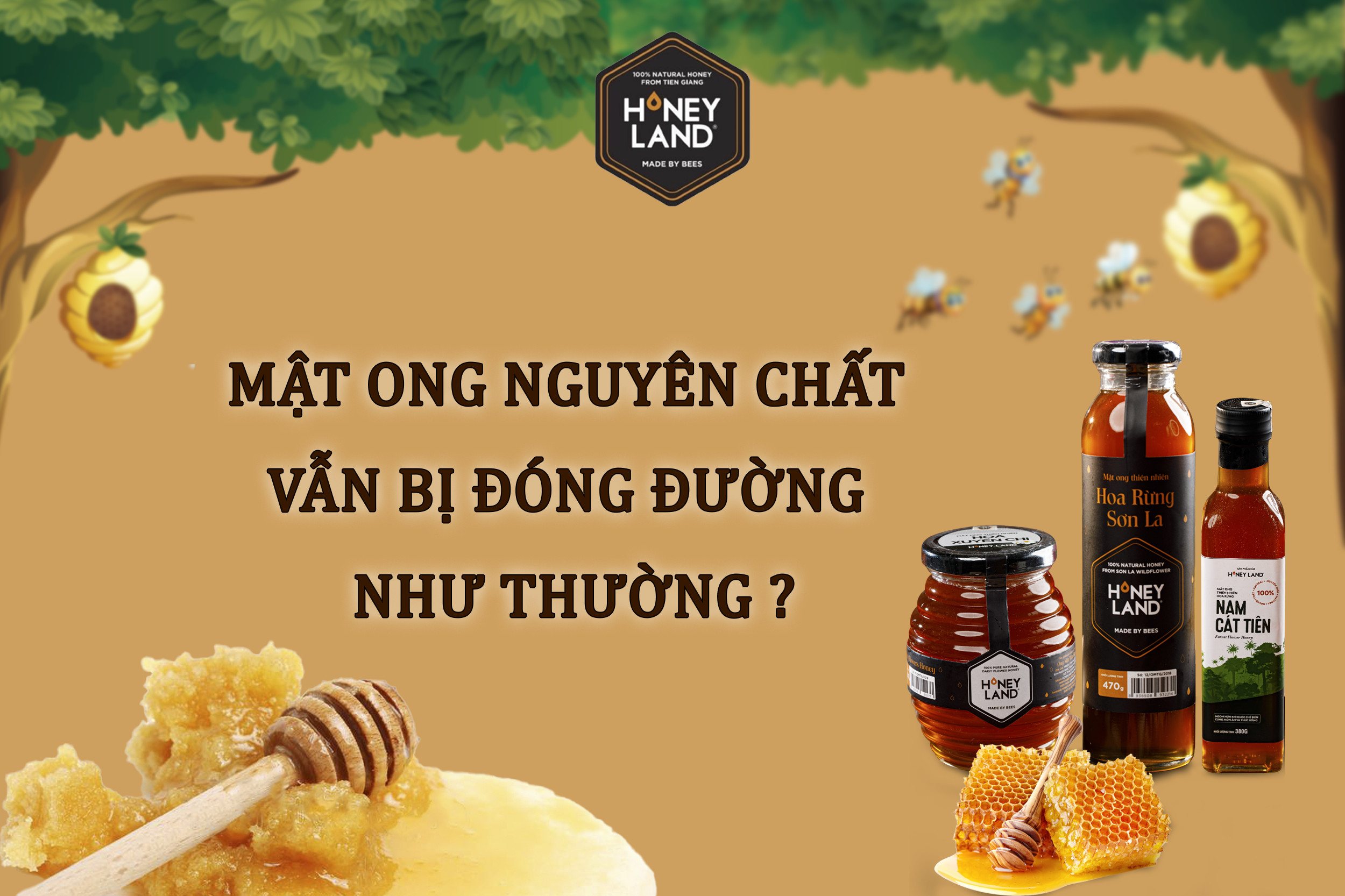 Mật Ong Nguyên Chất Vẫn Bị Đóng Đường Như Thường?