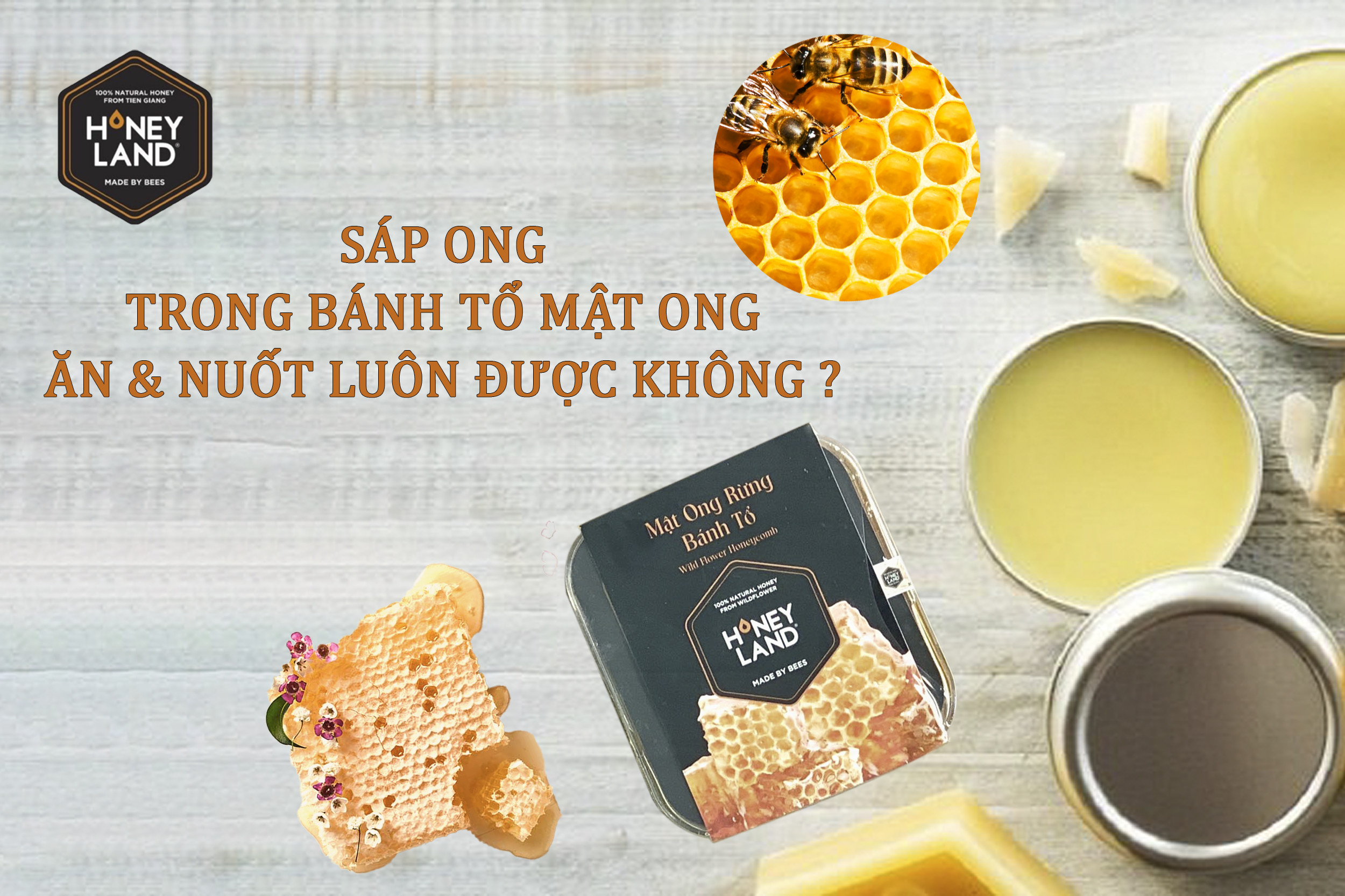 Sáp Ong Trong Bánh Tổ Mật Ong Ăn Và Nuốt Luôn Được Không?