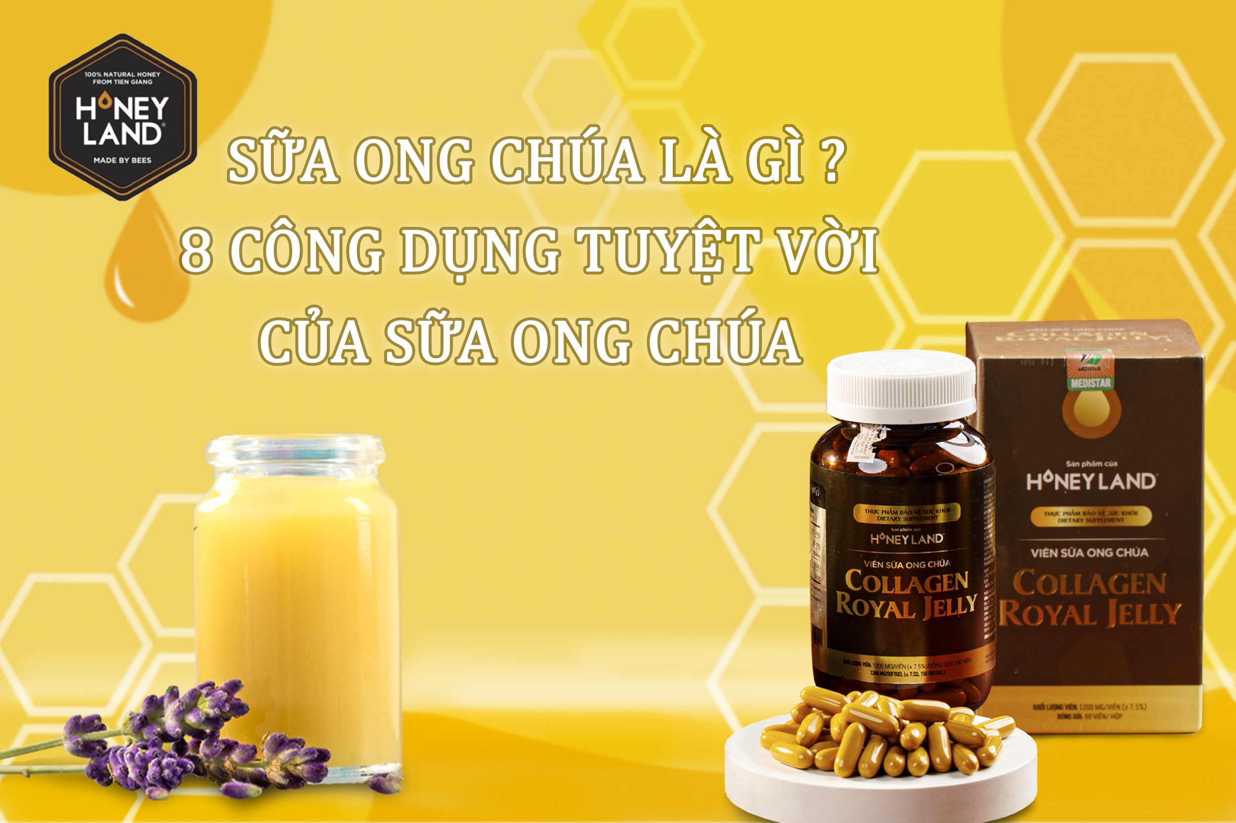 Sữa Ong Chúa Là Gì? 8 Công Dụng Tuyệt Vời Của Sữa Ong Chúa.