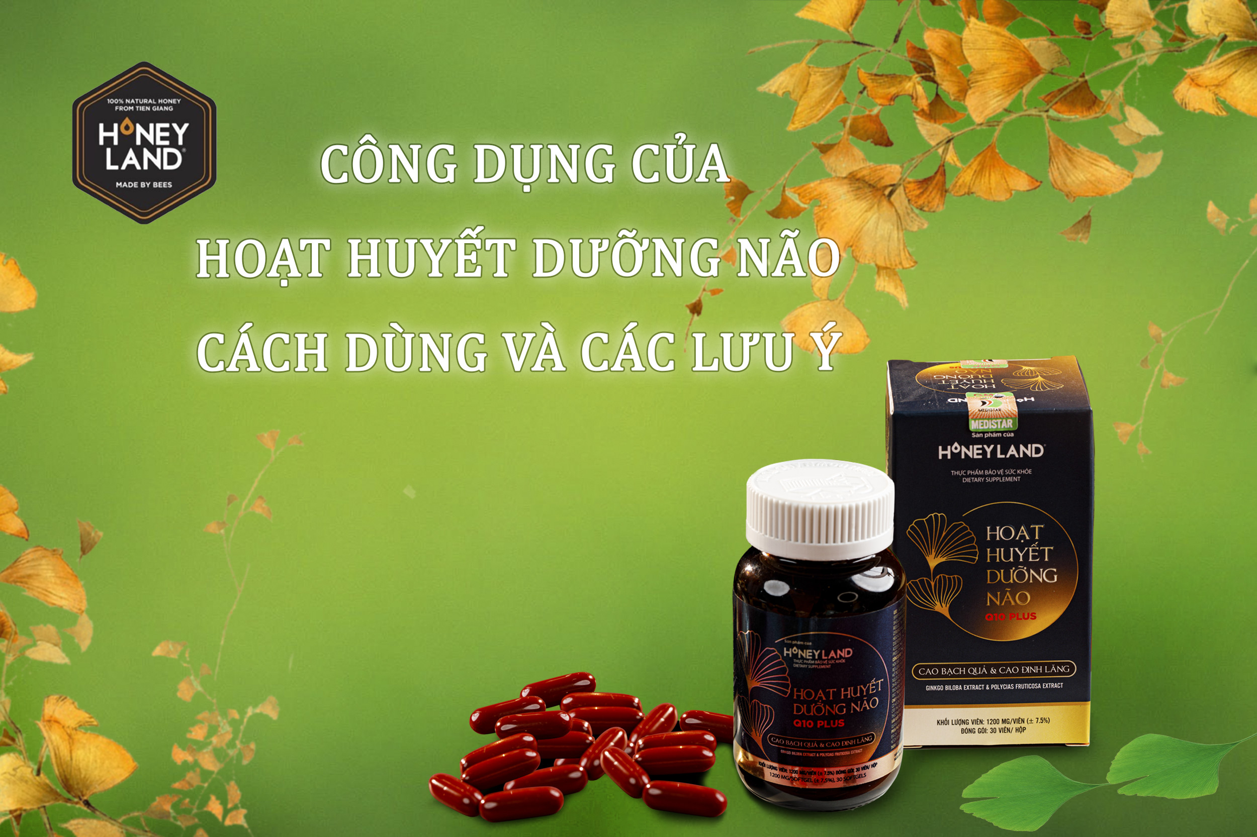Công Dụng Của Hoạt Huyết Dưỡng Não - Cách Dùng và Các Lưu Ý
