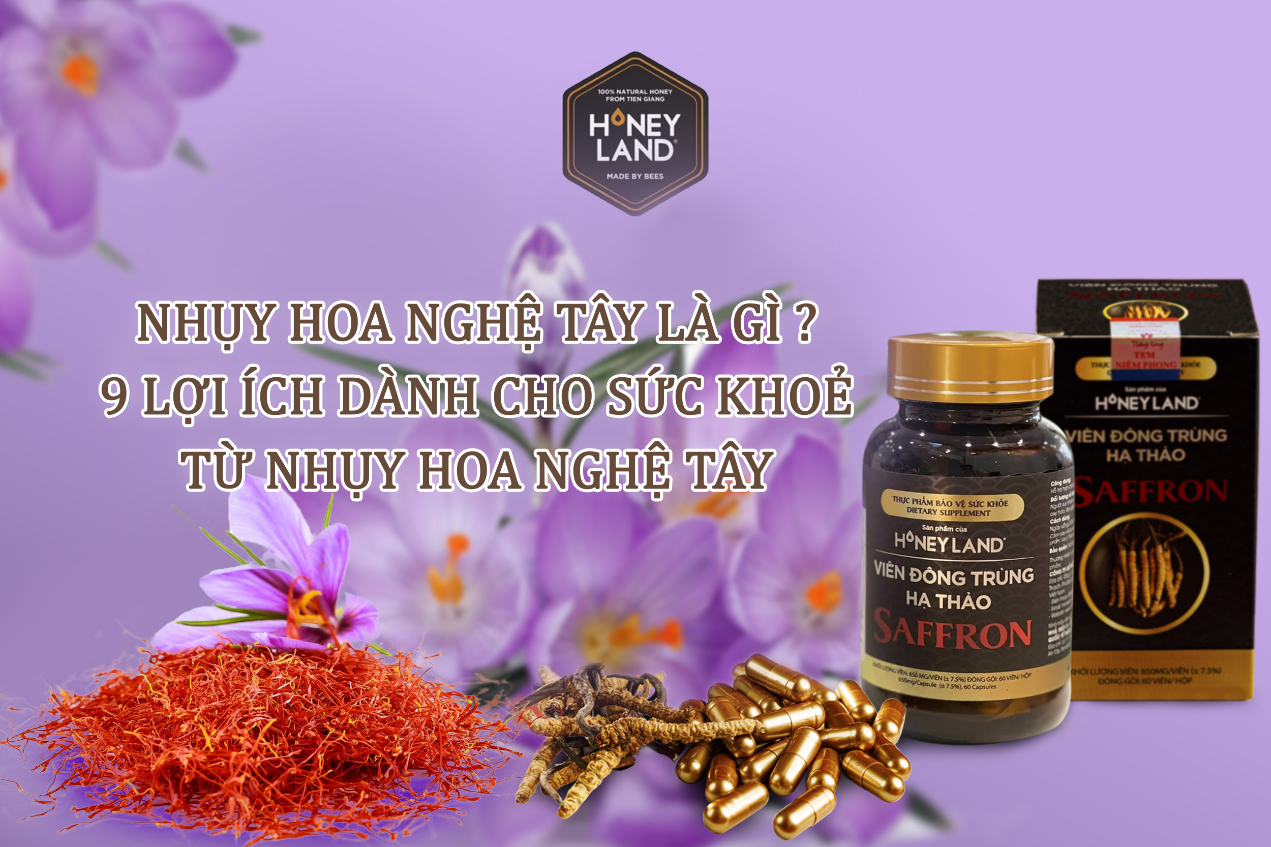Nhụy Hoa Nghệ Tây Là Gì? 9 Lợi Ích Dành Cho Sức Khỏe Từ Nhụy Hoa Nghệ Tây