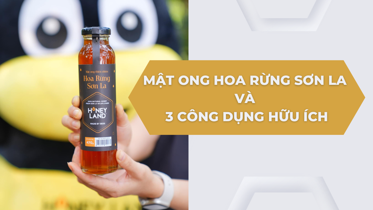 MẬT ONG HOA RỪNG SƠN LA VÀ 3 CÔNG DỤNG HỮU ÍCH