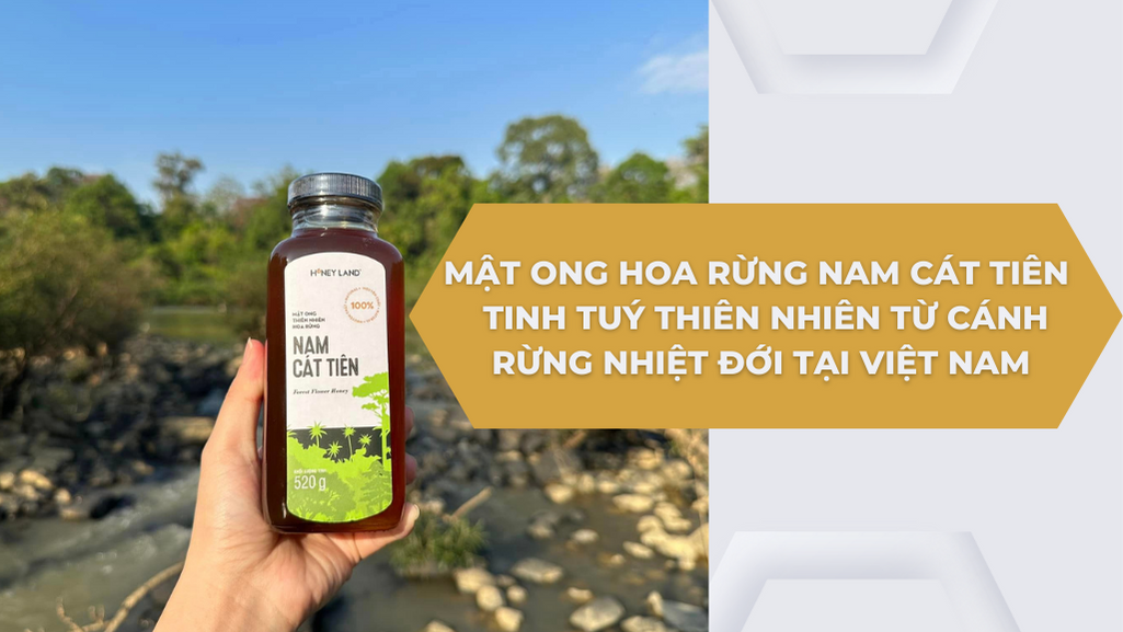 MẬT ONG HOA RỪNG NAM CÁT TIÊN – TINH TUÝ THIÊN NHIÊN TỪ CÁNH RỪNG NHIỆT ĐỚI TẠI VIỆT NAM