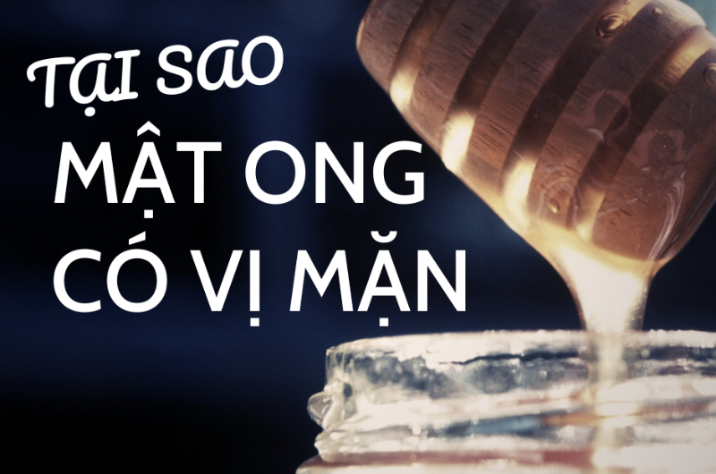 TẠI SAO MỘT SỐ DÒNG MẬT ONG CÓ VỊ MẶN ?