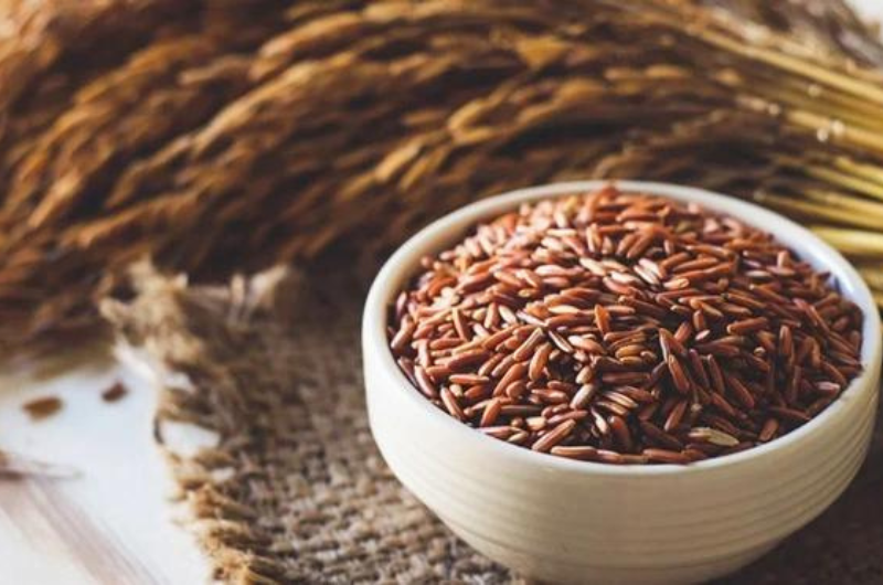 ĐỪNG BỎ QUA NGUỒN DINH DƯỠNG TỪ GẠO LỨT !