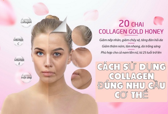 Collagen Là Gì Và Cách Sử Dụng Collagen Đúng Với Nhu Cầu Cơ Thể