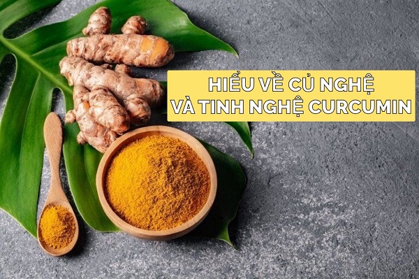 Hiểu Về Củ Nghệ Và Tinh Nghệ Curcumin