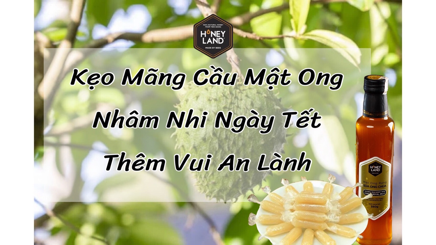 Kẹo Mãng Cầu Mật Ong - Nhâm Nhi Ngày Tết Thêm Vui An Lành