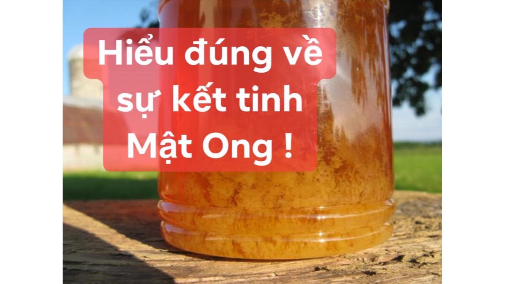 Hiểu đúng về sự kết tinh Mật Ong