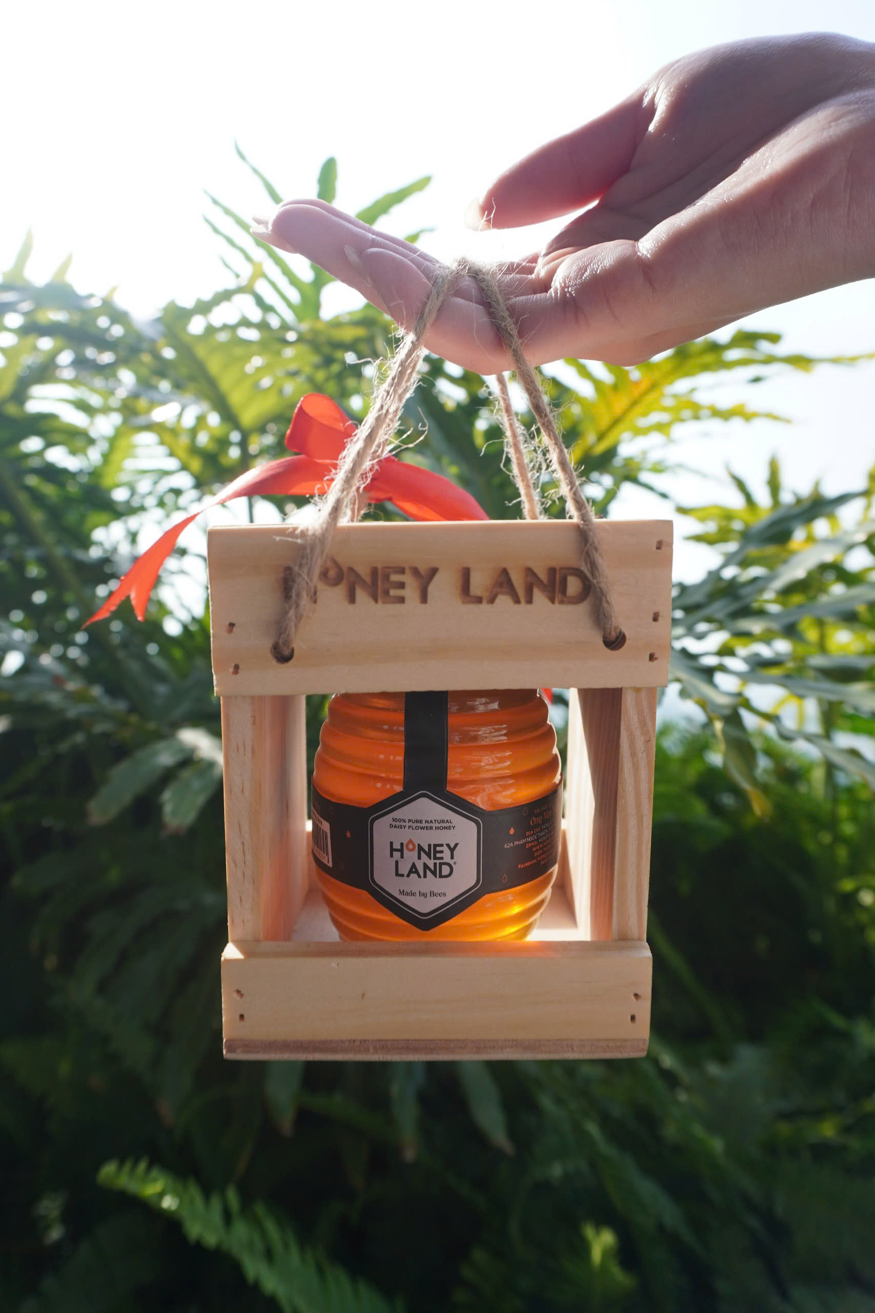 Hộp quà gỗ mật ong Honeyland - Hoa Xuyến Chi 250g