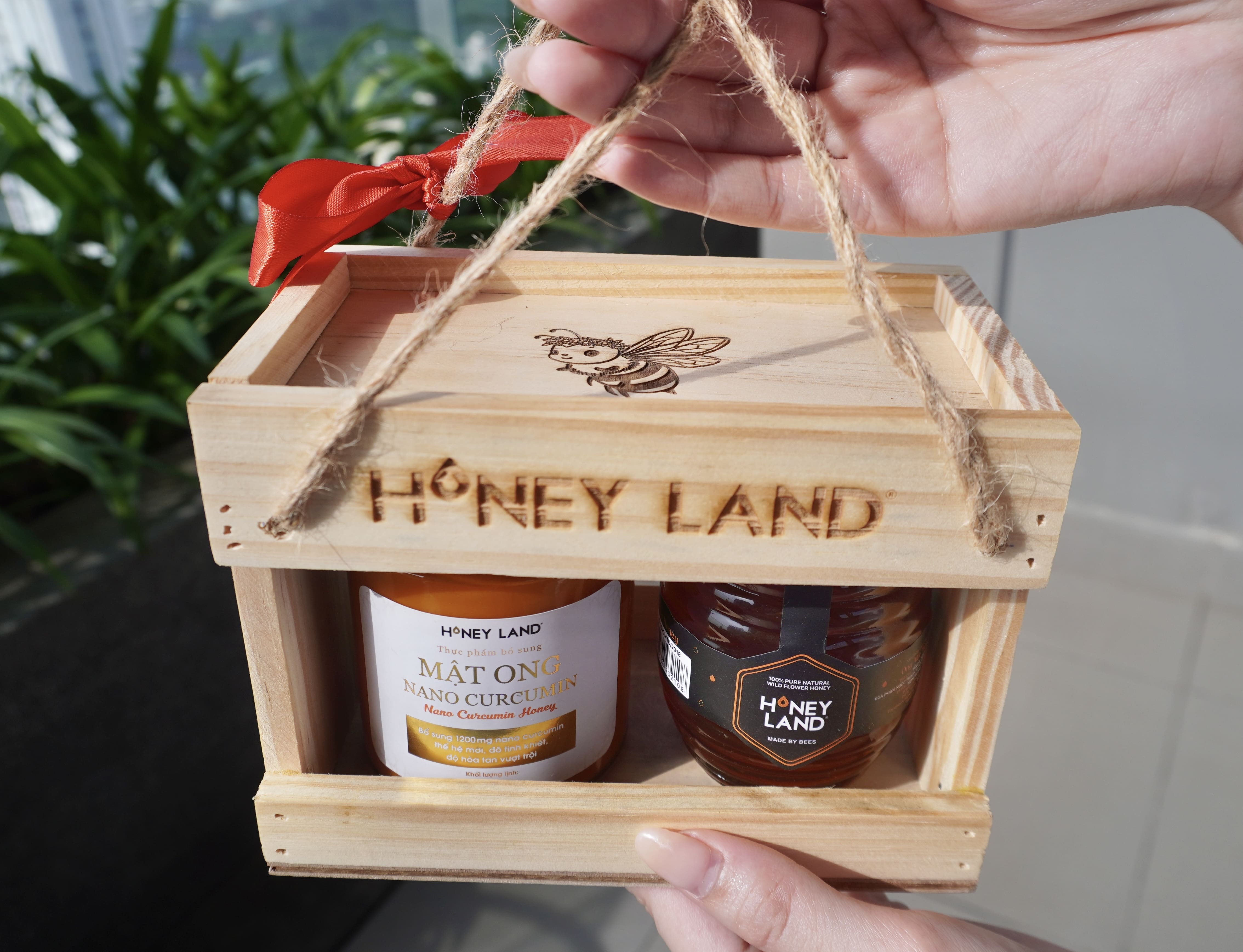 Hộp quà gỗ mật ong Honeyland Hoa Rừng 250g + Nano Curcumin 250g