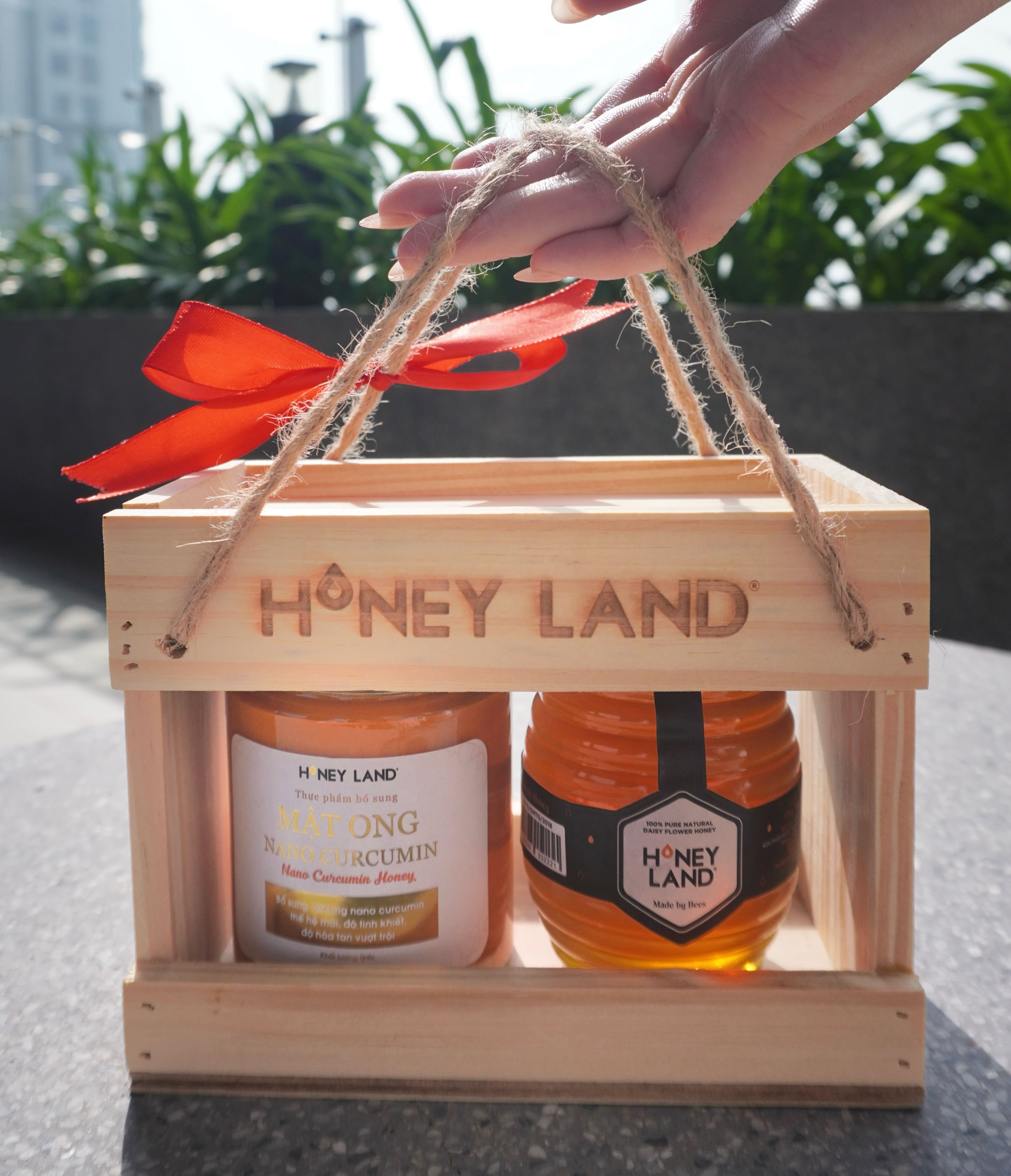Hộp quà gỗ mật ong Honeyland Hoa Xuyến Chi 250g + Nano Curcumin 250g