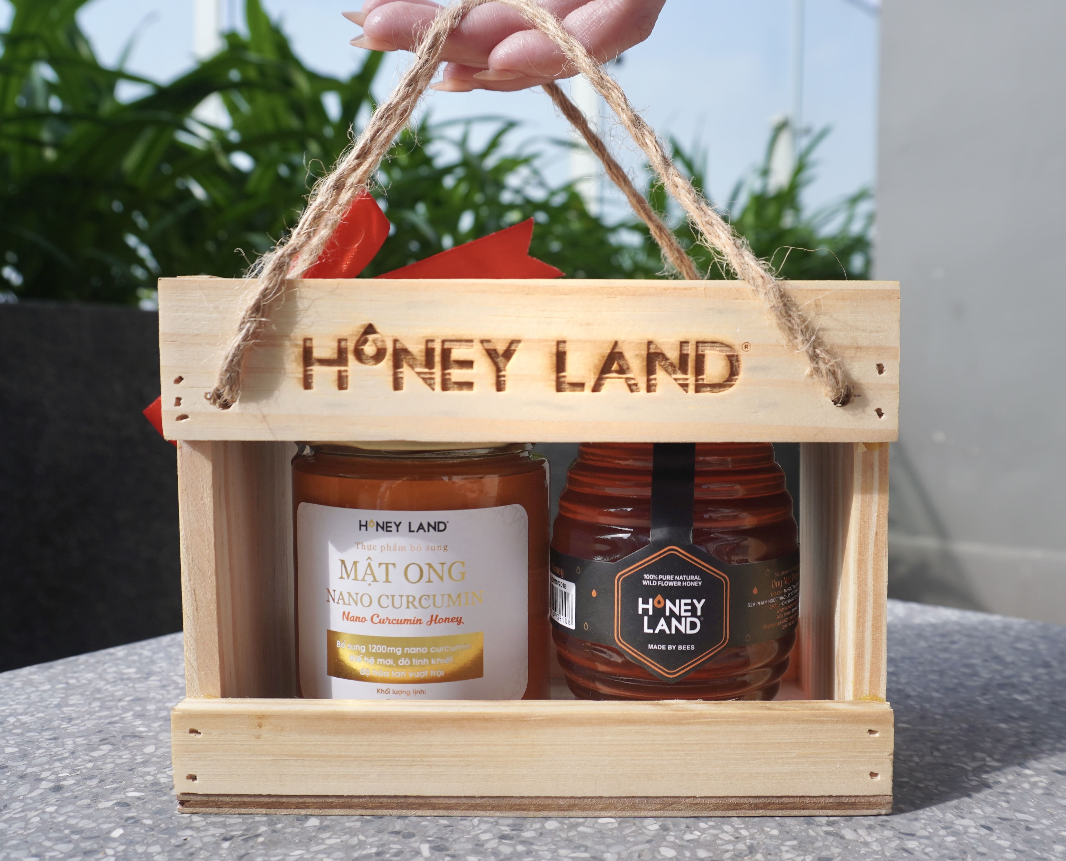 Hộp quà gỗ mật ong Honeyland Hoa Rừng 250g + Nano Curcumin 250g
