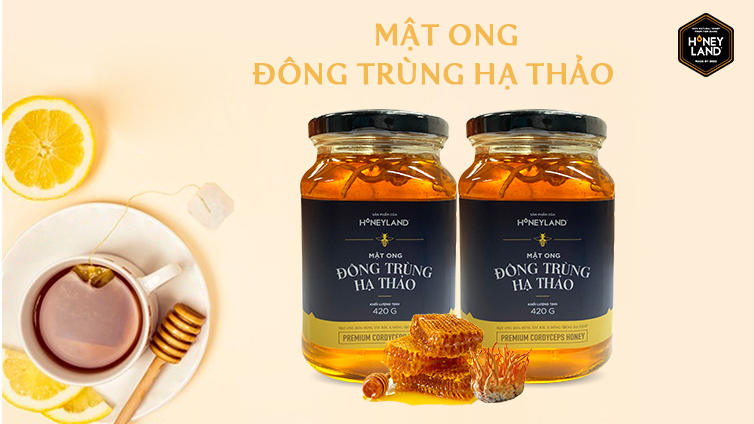 Mật ong Đông Trùng Hạ Thảo 420g