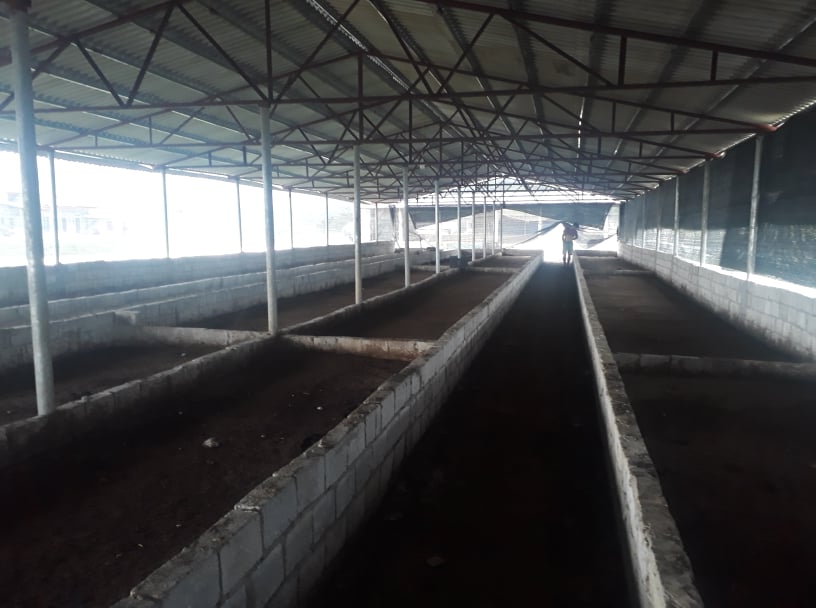 Bảng Giá Phân Giun Quế, Bảng Giá Phân trùn quế năm 2025