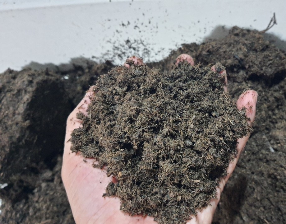 Tổng hợp những cách cải tạo đất bạc màu đơn giản, hiệu quả nhất