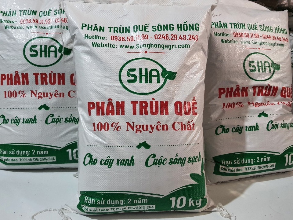 Tìm hiểu về Phân trùn quế Sông Hồng – 4 lý do bạn nên mua!