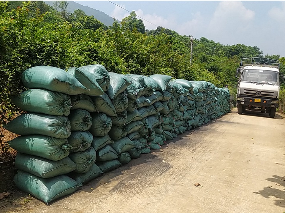 Tác dụng của tro trấu với cây trồng - Tư vấn của SenAgri.vn