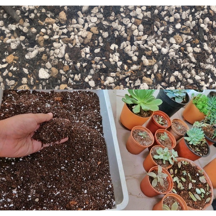 Trồng rau thì nên mua đất nào? Có cần trộn thêm gì không hay chỉ cần mua đất về là trồng được?