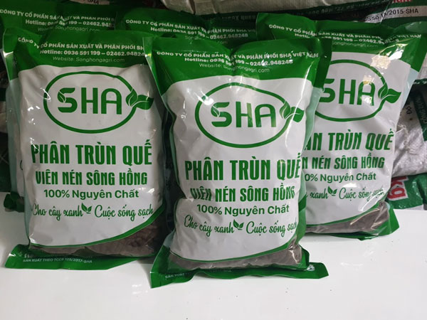 Phân trùn quế Sông Hồng – 4 lý do bạn nên mua!