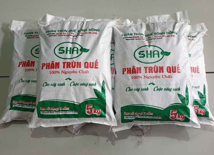 Phân trùn quế Sông Hồng – 4 lý do bạn nên mua!