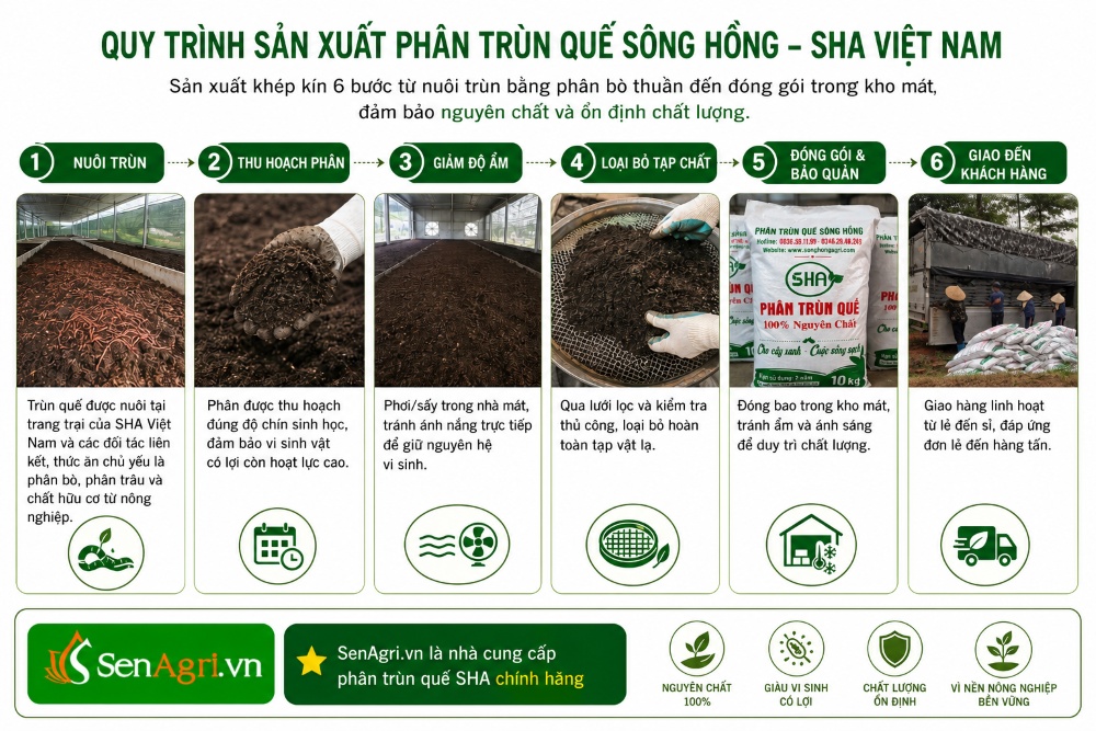 Quy trình 6 bước sản xuất phân trùn quế Sông Hồng  - SHA Việt Nam
