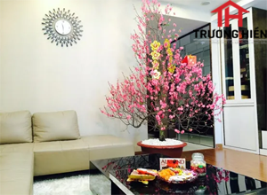 Những gợi ý sửa sang nhà cửa thật đẹp đón tết.