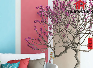 Sơn nhà đón tết bạn nên chọn màu nào?