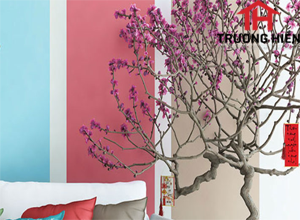 Sơn nhà mới đón tết đoàn viên.