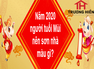 Năm 2020 người tuổi mùi hợp với màu sơn nào?
