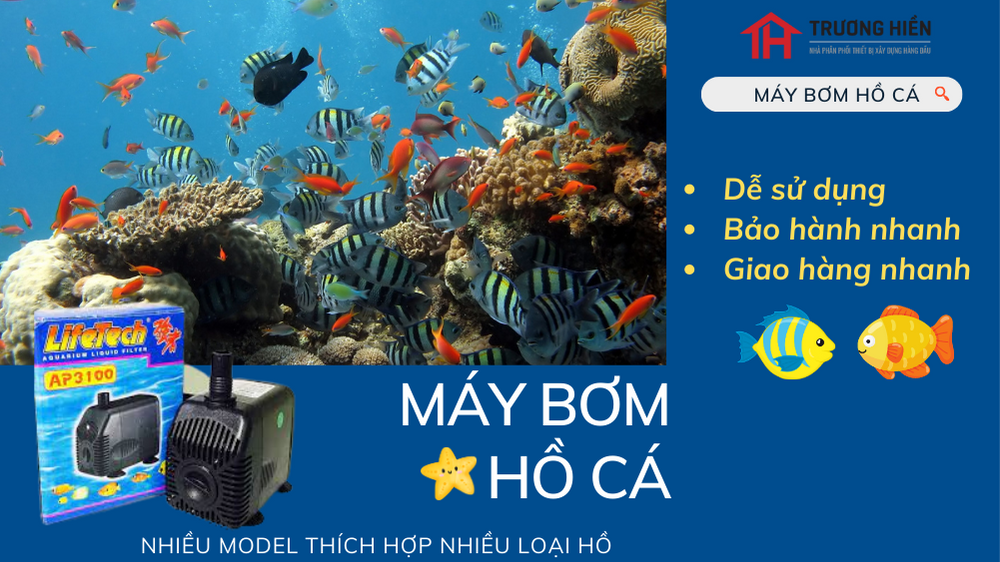 MÁY BƠM HỒ CÁ LIFETECH