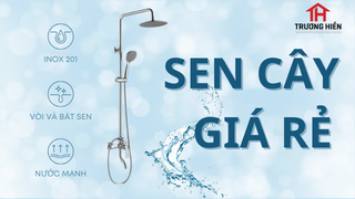 PHÂN PHỐI SEN TẮM GIÁ RẺ