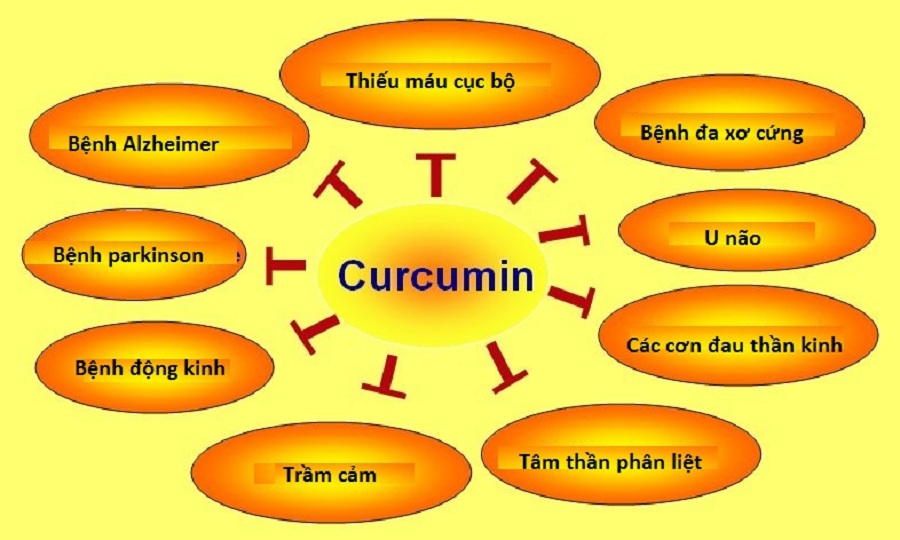 công-dụng-quý-phòng-chống-nhiều loại-bệnh-của-Curcumin-trong-nghệ