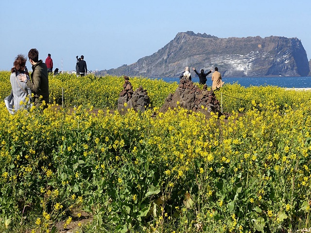 BAY THẲNG ĐẾN THIÊN ĐƯỜNG ĐẢO JEJU 2019