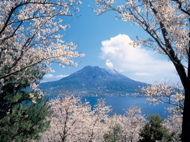 QUYẾN RŨ MÙA THU  KAGOSHIMA – FUKUOKA – OITA – KUMAMOTO – MIYAZAKI