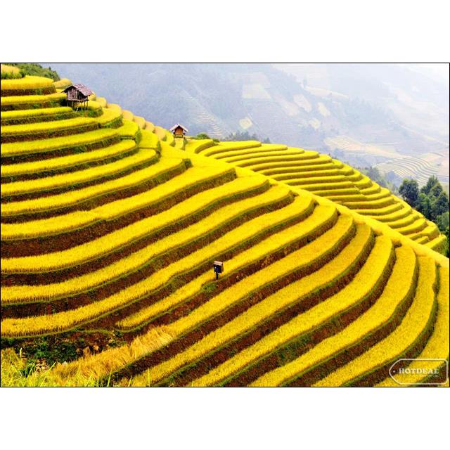 Sapa Market Exploration 3 days 4 nights