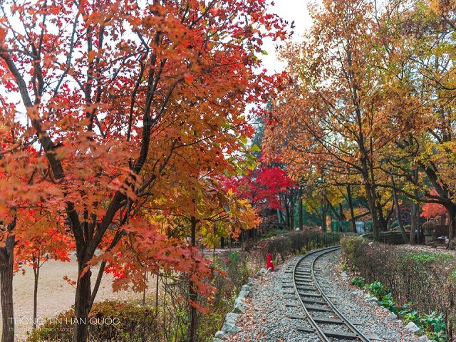KHÁM PHÁ XỨ SỞ KIM CHI: HÀ NỘI - SEOUL - NAMI - NAMSAN TOWER - KBS - 3D - BẢO TÀNG ĐÁ TUYẾT