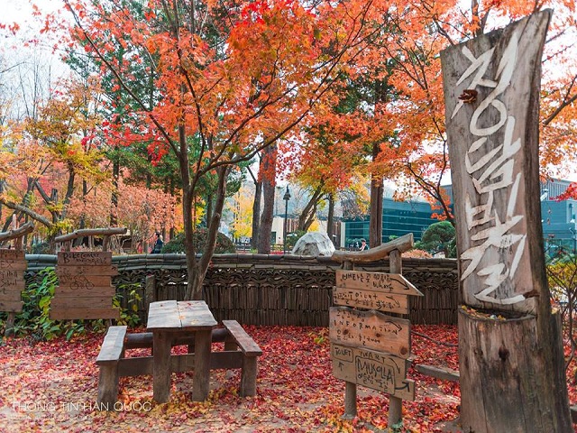 KHÁM PHÁ XỨ SỞ KIM CHI: HÀ NỘI - SEOUL - NAMI - NAMSAN TOWER - KBS - 3D - BẢO TÀNG ĐÁ TUYẾT